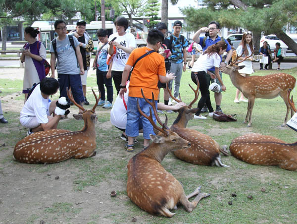 ピクセルカンパニーズ 臨時株主総会